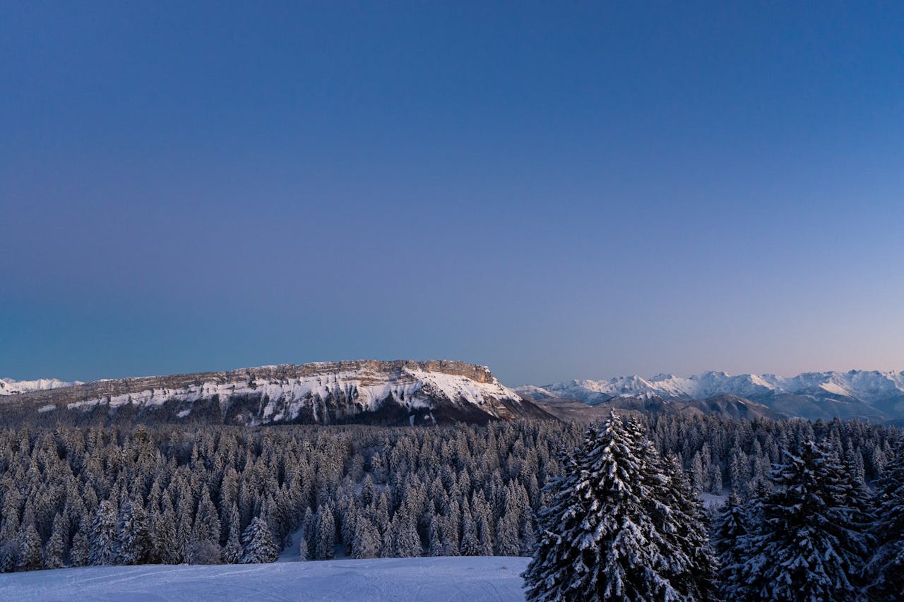 discover Serene view of snow-covered mountains and forests in Auvergne-Rhône-Alpes, France.